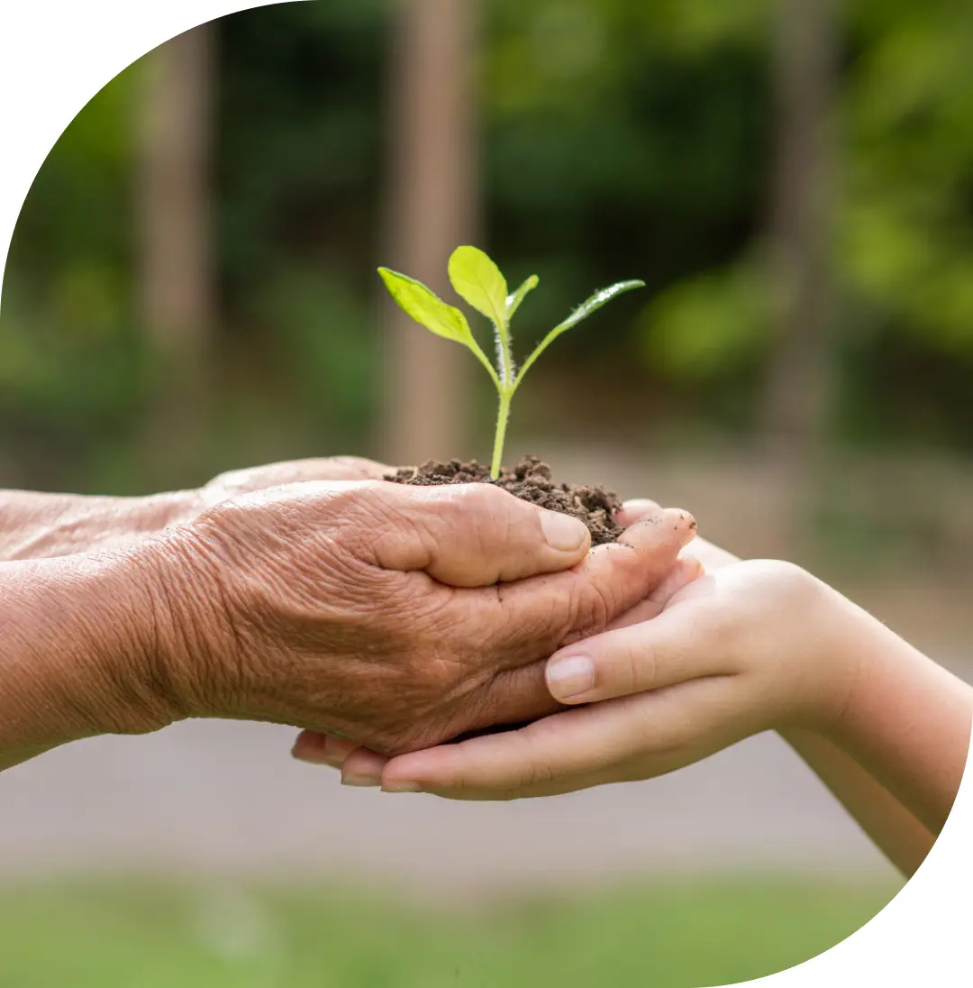 
									fertilizer_for_garden